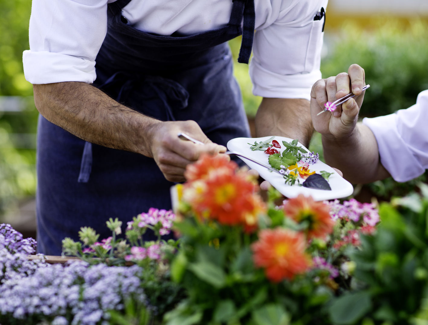 The Cookbook Gastro Boutique Hotel & Spa Calpe Exterior foto